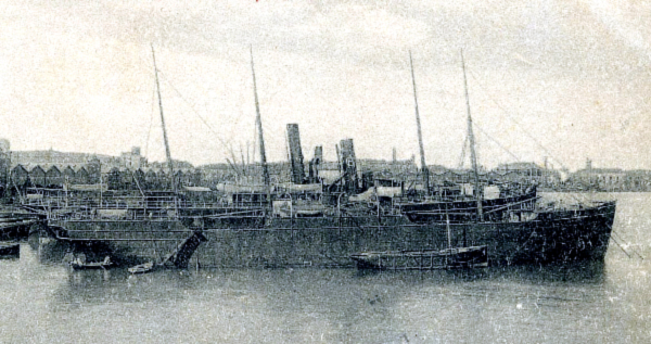 A. Cola - Collection P.Blanco A. Cola - Collection P.Blanco